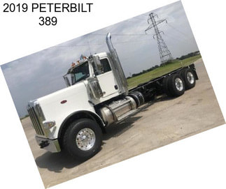 2019 PETERBILT 389