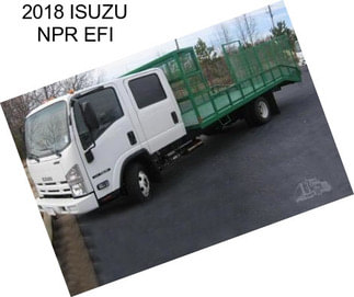 2018 ISUZU NPR EFI