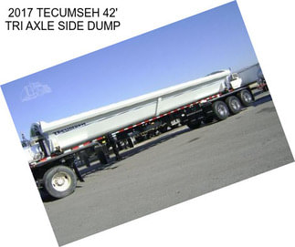 2017 TECUMSEH 42\' TRI AXLE SIDE DUMP