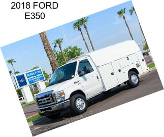 2018 FORD E350