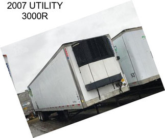 2007 UTILITY 3000R