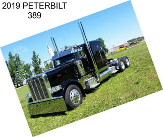 2019 PETERBILT 389