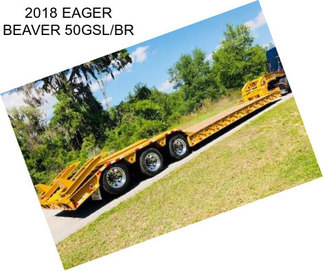 2018 EAGER BEAVER 50GSL/BR