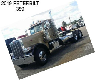 2019 PETERBILT 389