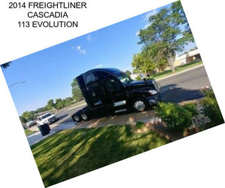 2014 FREIGHTLINER CASCADIA 113 EVOLUTION