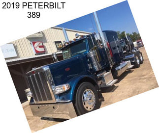 2019 PETERBILT 389