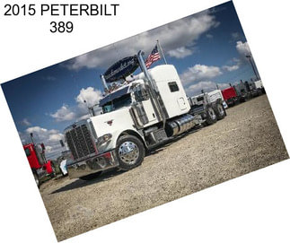 2015 PETERBILT 389