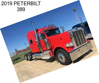 2019 PETERBILT 389