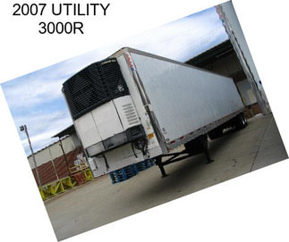 2007 UTILITY 3000R