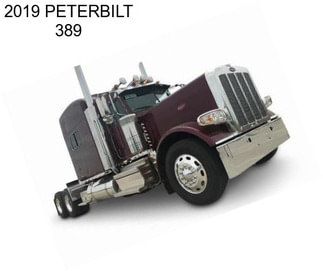 2019 PETERBILT 389