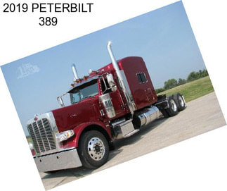 2019 PETERBILT 389