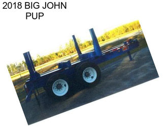 2018 BIG JOHN PUP