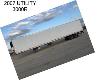 2007 UTILITY 3000R