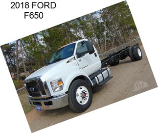 2018 FORD F650