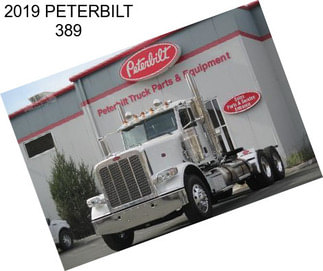 2019 PETERBILT 389