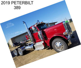 2019 PETERBILT 389