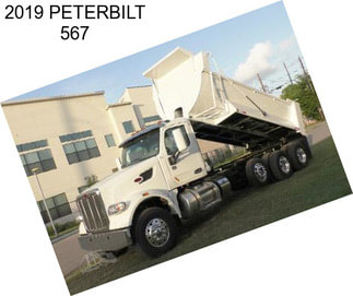 2019 PETERBILT 567