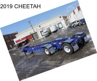 2019 CHEETAH