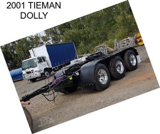 2001 TIEMAN DOLLY