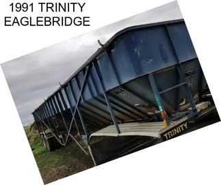 1991 TRINITY EAGLEBRIDGE