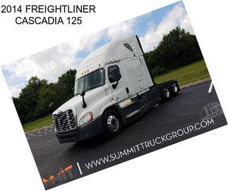 2014 FREIGHTLINER CASCADIA 125