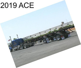 2019 ACE