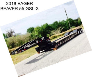 2018 EAGER BEAVER 55 GSL-3