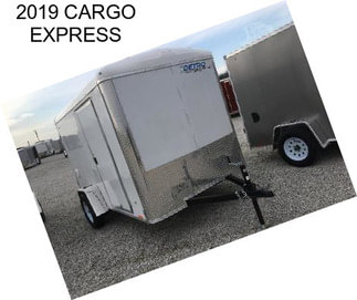 2019 CARGO EXPRESS