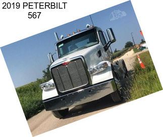 2019 PETERBILT 567