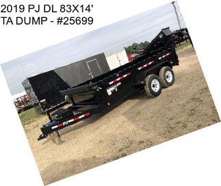 2019 PJ DL 83\