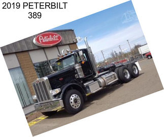 2019 PETERBILT 389