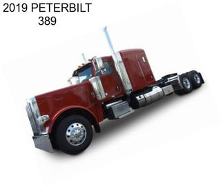 2019 PETERBILT 389