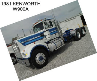 1981 KENWORTH W900A