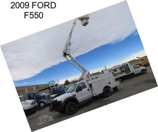 2009 FORD F550