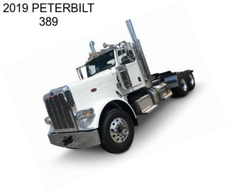 2019 PETERBILT 389