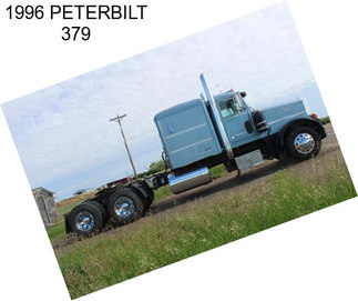 1996 PETERBILT 379