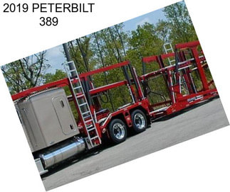 2019 PETERBILT 389