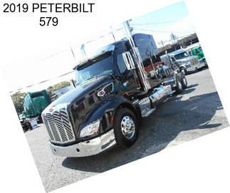 2019 PETERBILT 579