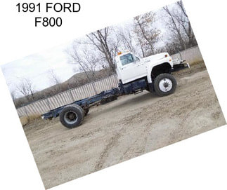 1991 FORD F800