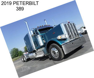 2019 PETERBILT 389