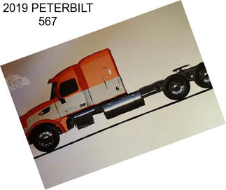 2019 PETERBILT 567