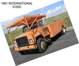 1981 INTERNATIONAL S1800