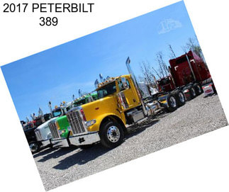 2017 PETERBILT 389