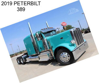 2019 PETERBILT 389