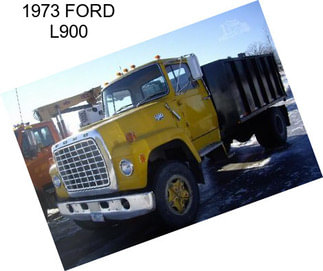 1973 FORD L900