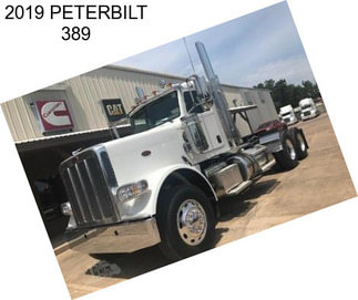 2019 PETERBILT 389