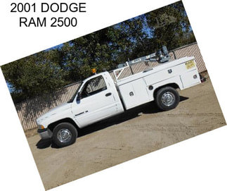 2001 DODGE RAM 2500