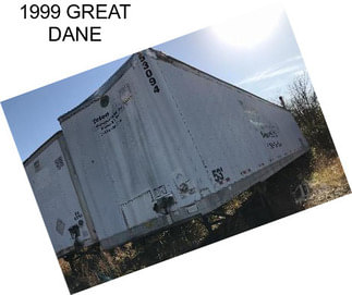 1999 GREAT DANE