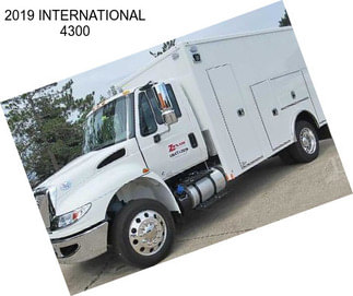 2019 INTERNATIONAL 4300