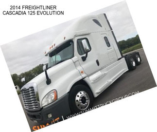 2014 FREIGHTLINER CASCADIA 125 EVOLUTION